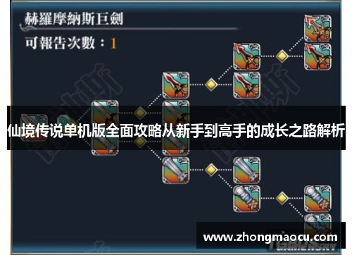 仙境传说单机版全面攻略从新手到高手的成长之路解析
